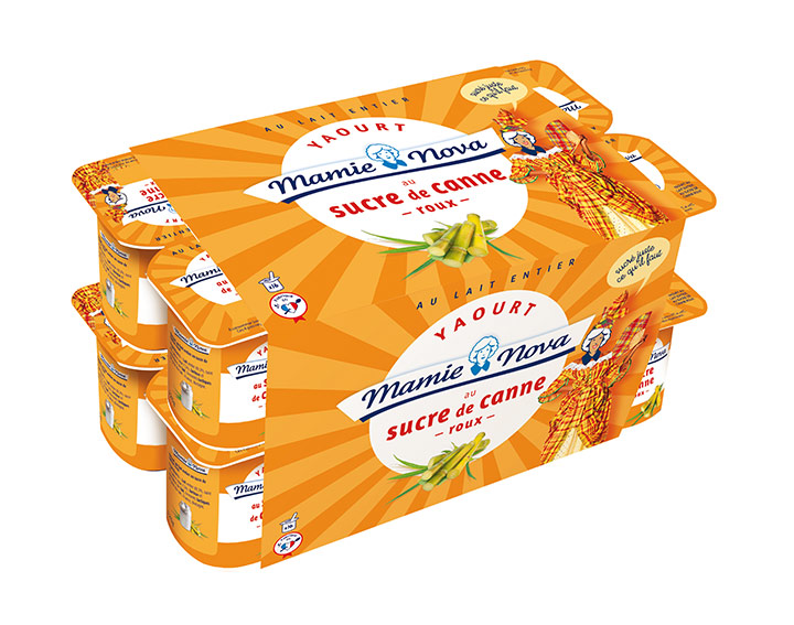 Yaourt au Sucre de Canne Roux x16
