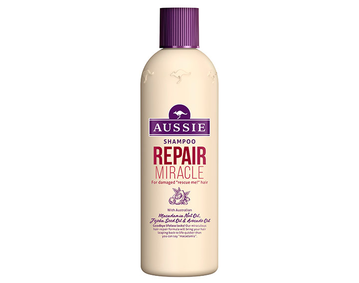 Repair Miracle