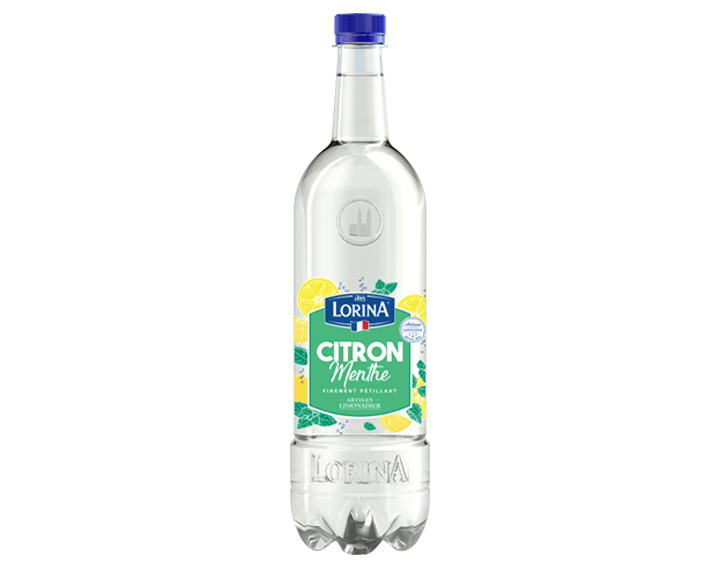Plaisir Fruité Citron Menthe