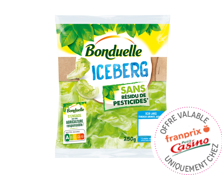 Iceberg Sans Résidu de Pesticides 250g