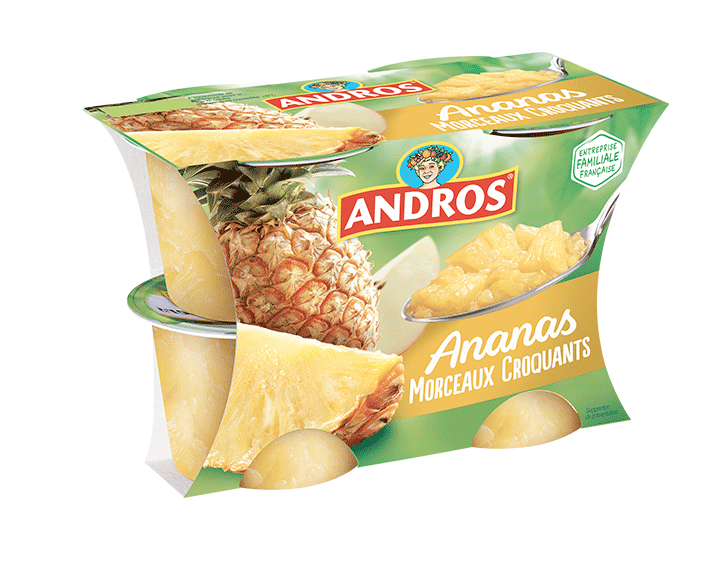 Ananas Morceaux 4x100g
