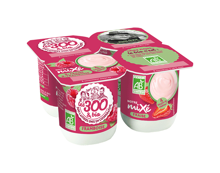 Notre mixé 2x fraise 2xframboise 4x125g
