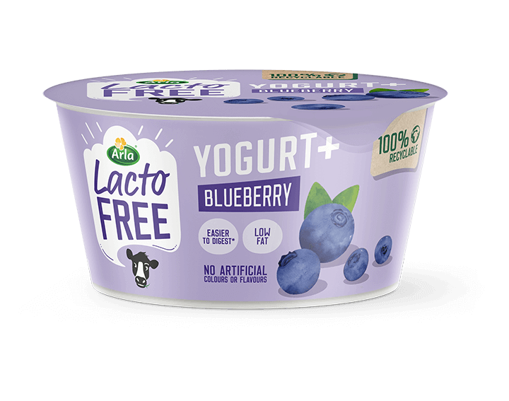 Blueberry Yogurt+ 150g