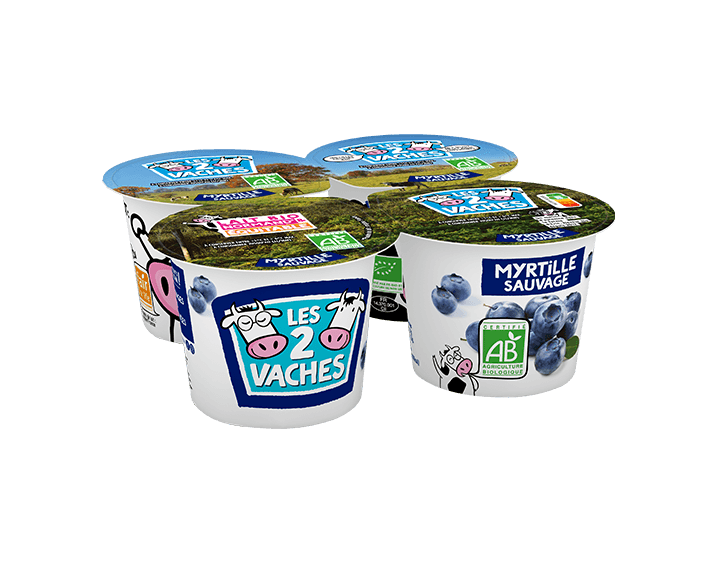 Yaourt Bio Brassé Myrtilles 115gx4