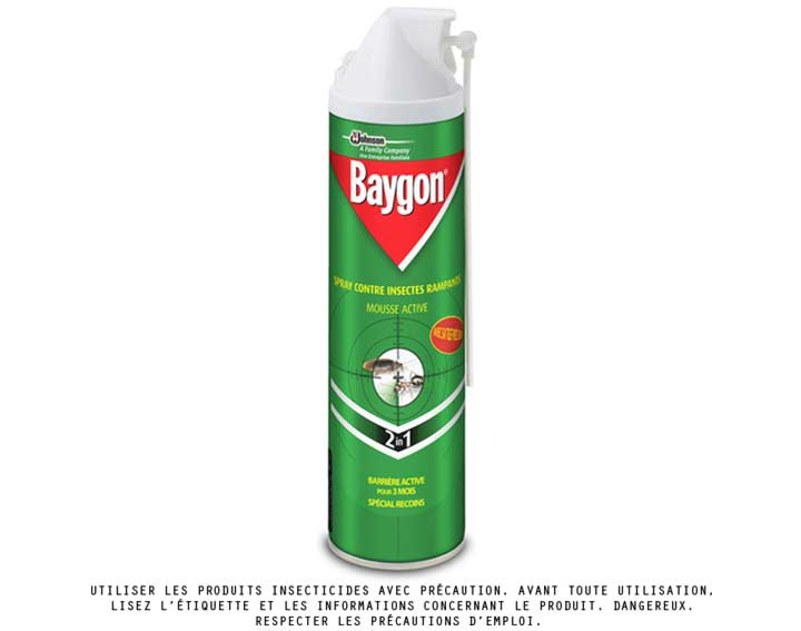 Baygon® mousse anti-rampants
