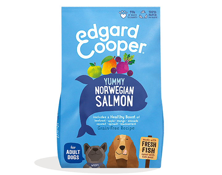 Fresh Salmon Dog Food 1kg