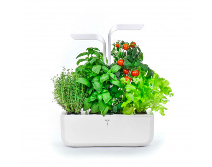 10 potagers d’intérieur à gagner ! 