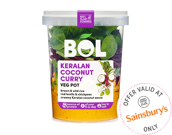 Keralan Coconut Curry 345g