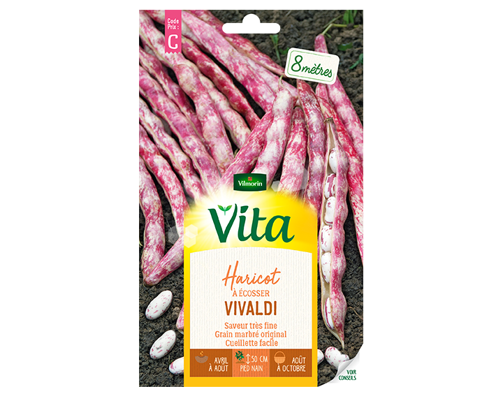 Haricot à écosser Vivaldi Vita de Vilmorin