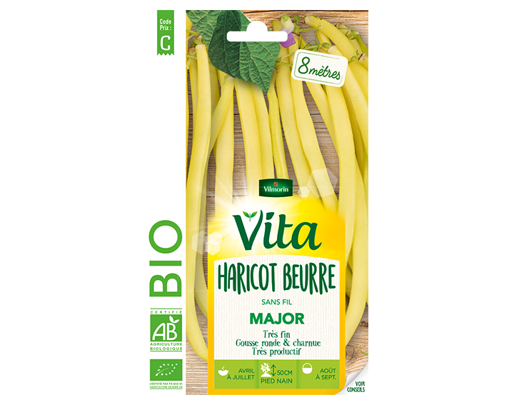 Haricot beurre Major bio Vita de Vilmorin