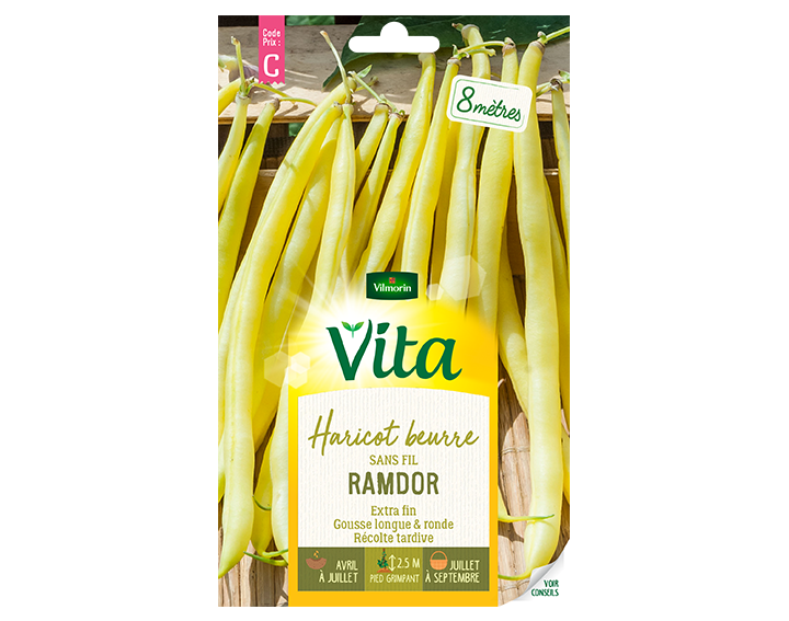 Haricot beurre Ramdor Vita de Vilmorin