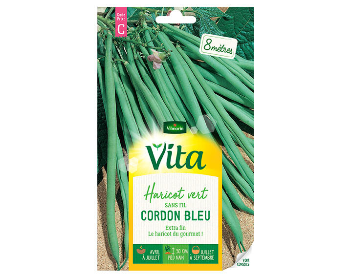 Haricot vert Cordon bleu Vita de Vilmorin