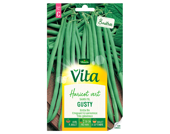 Haricot vert Gusty Vita de Vilmorin