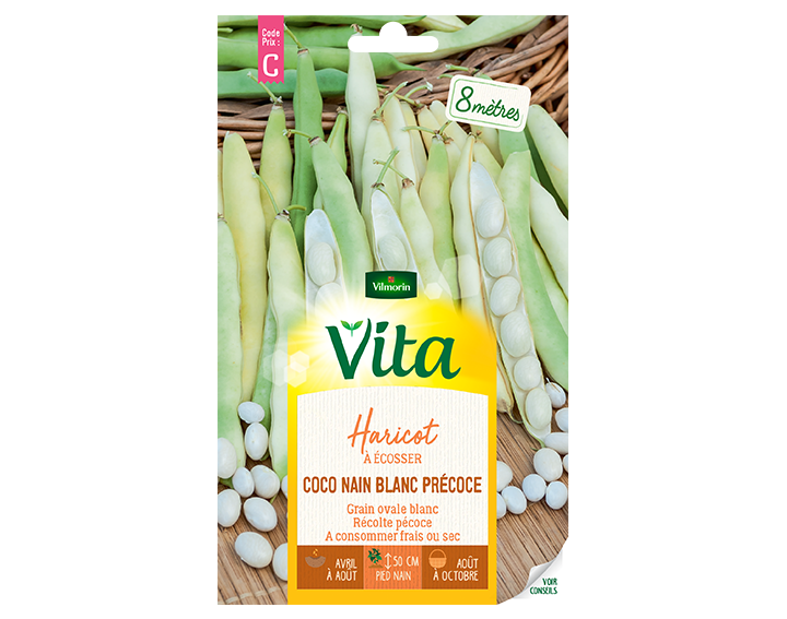 Haricot à écosser Coco nain blanc précoce