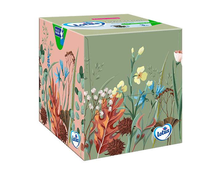 Lotus Boite Cubic x48