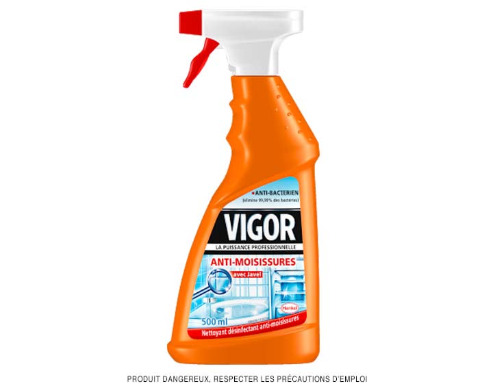 Vigor Spray Anti-Moisissures