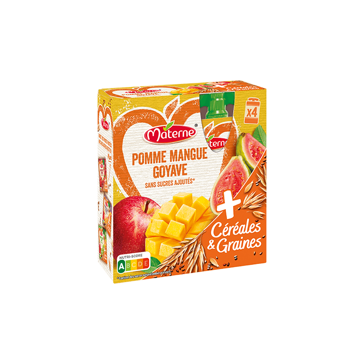 Pomme Mangue Goyave 4x90g