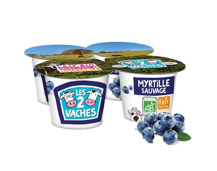 Brassé Myrtilles 115g x 4