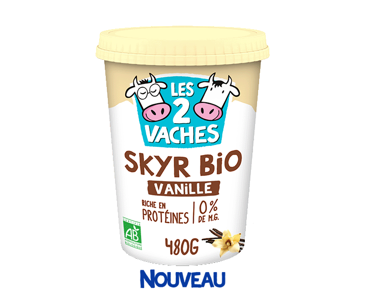 Skyr Bio Vanille 480g