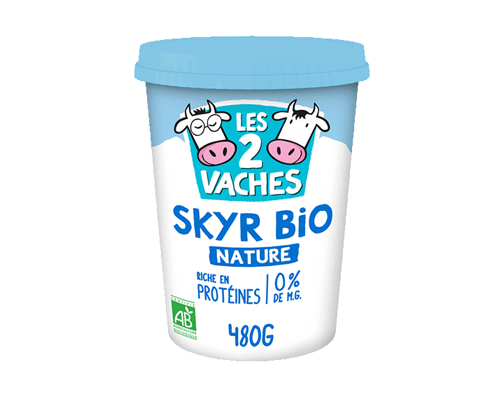 Skyr Bio Nature 480g