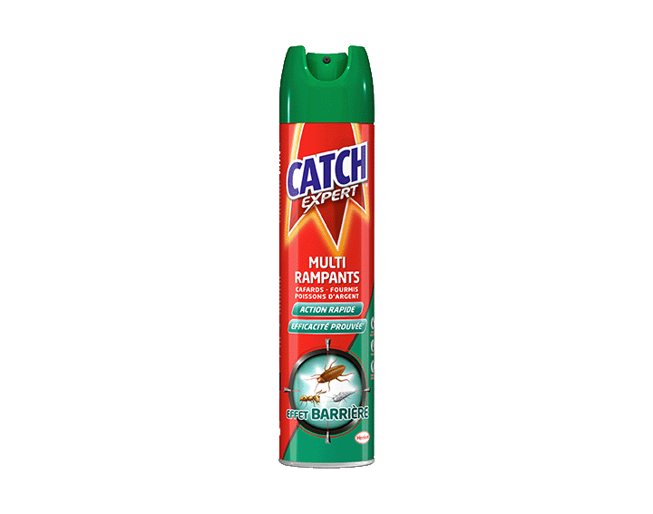 Aérosol Multi-Rampants 300mL