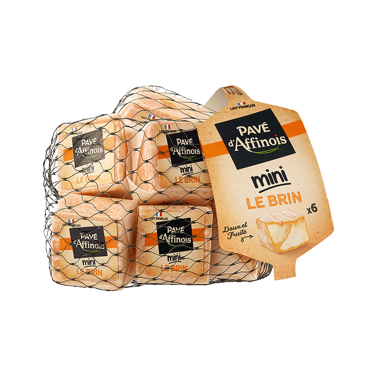Pavé d’Affinois Filet mini Brin x6