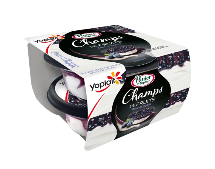 Champs de Fruits Baies de myrtilles