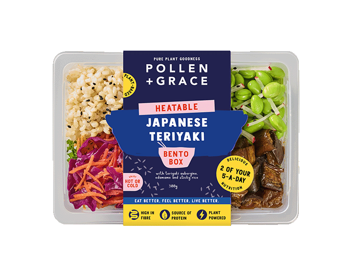 Japanese Teriyaki Bento Box 300g