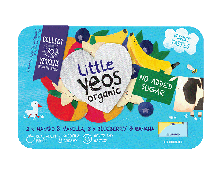 Blueberry&Banana, Mango&Vanilla Organic Yogurt 6x42g