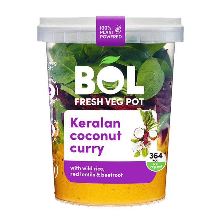 Keralan Coconut Curry Veg Pot 345g