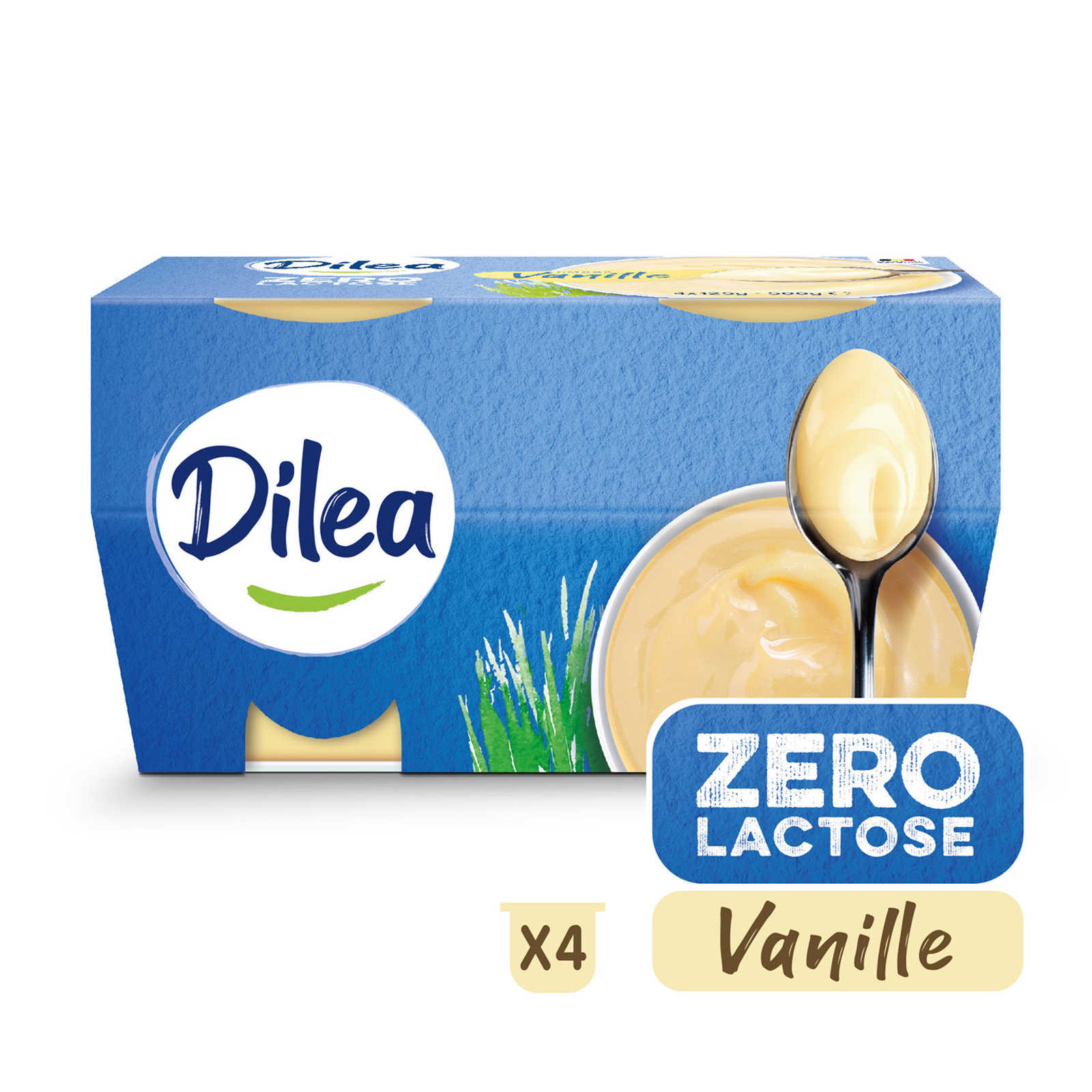 Dilea Room dessert Vanille 4x125g
