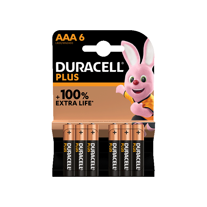Duracell Plus 100%  AAA X6