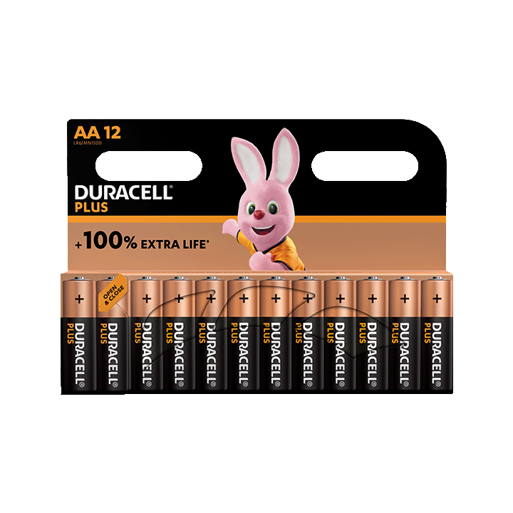 Duracell Plus 100%  AA X12