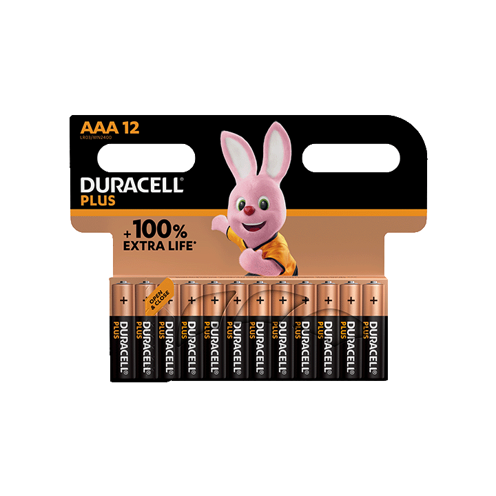 Duracell Plus 100%  AAA X12