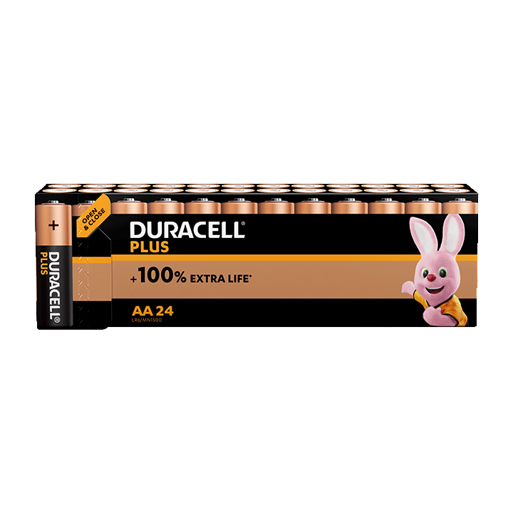 Duracell Plus 100%  AA X24 PANIERE
