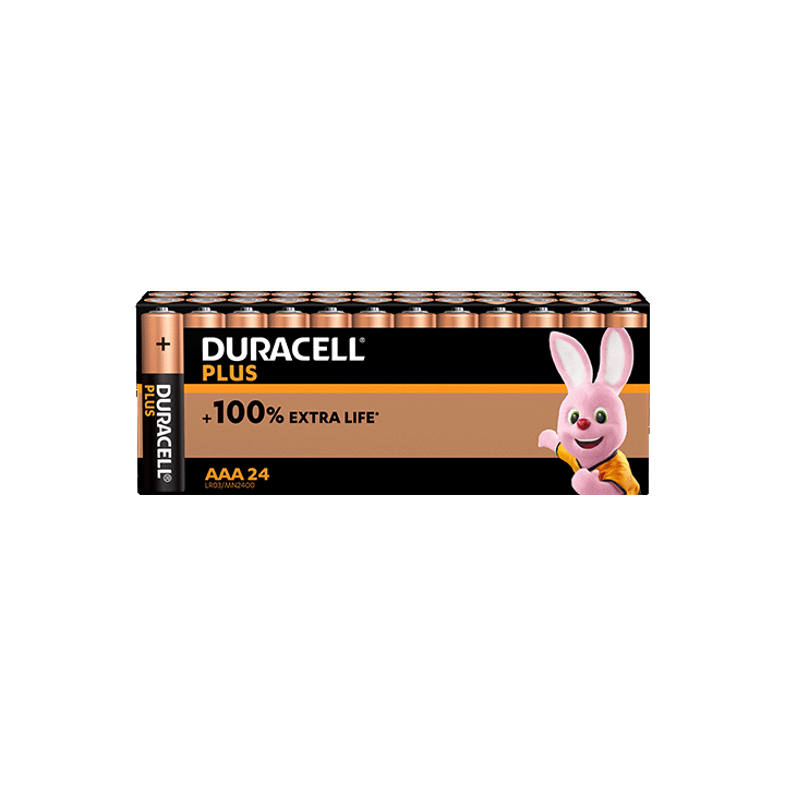 Duracell Plus 100%  AAA X24 PANIERE