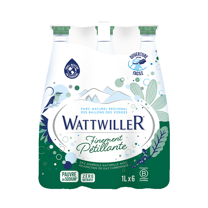Eau minérale finement pétillante 6x1L PET