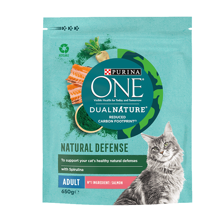 Adult Salmon & Spirulina 650g