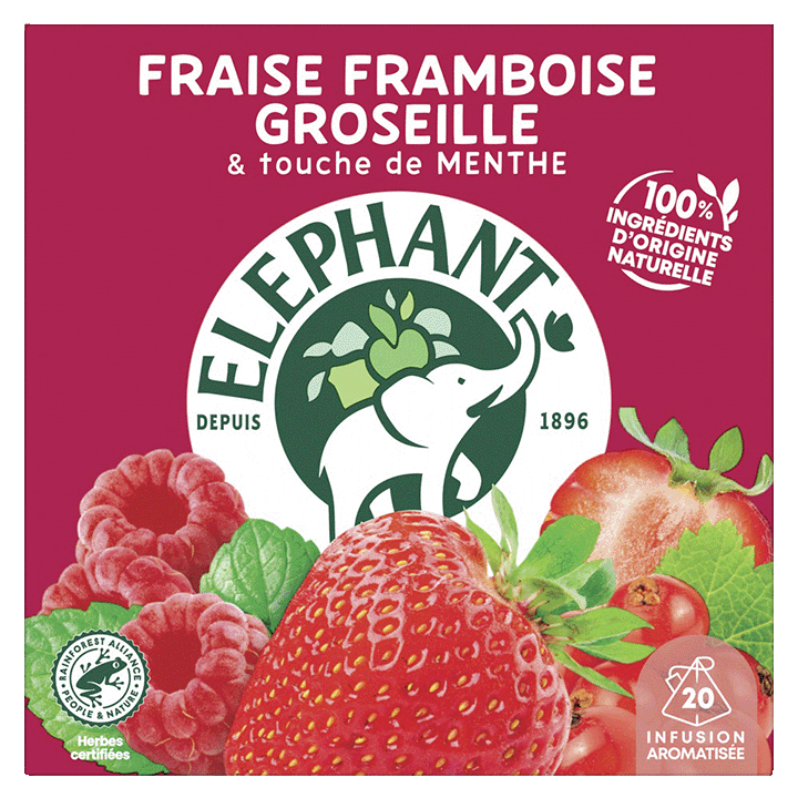 Infusion Fraise Framboise Groseille