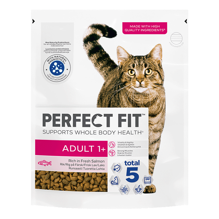 PERFECT FIT™ Dry Cat Food Adult 1+ 750g Salmon