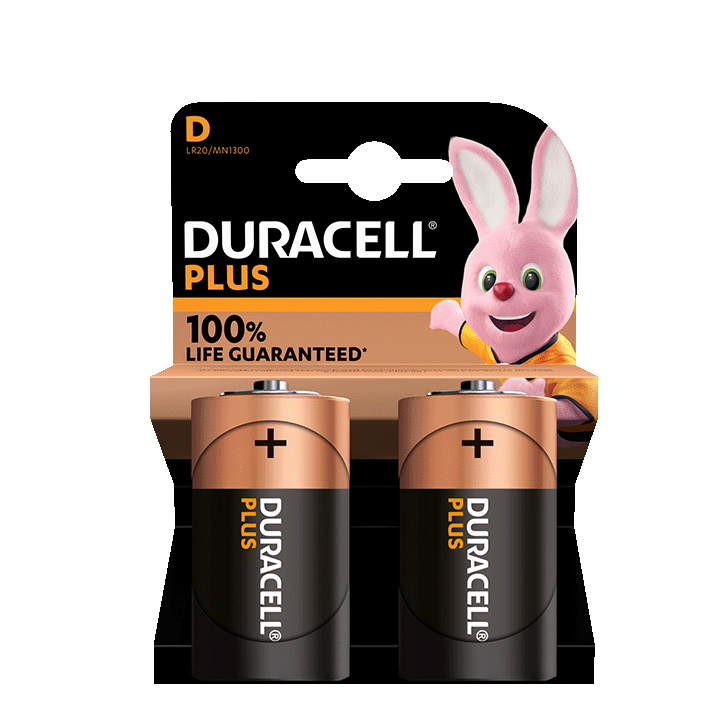 Duracell Plus 100%  D X2