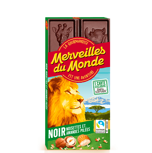 Tablette chocolat Noir Noisettes et amandes pilées