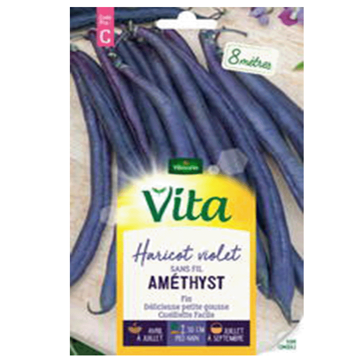 HARICOT AMETHYST - SEMIS POUR 8M