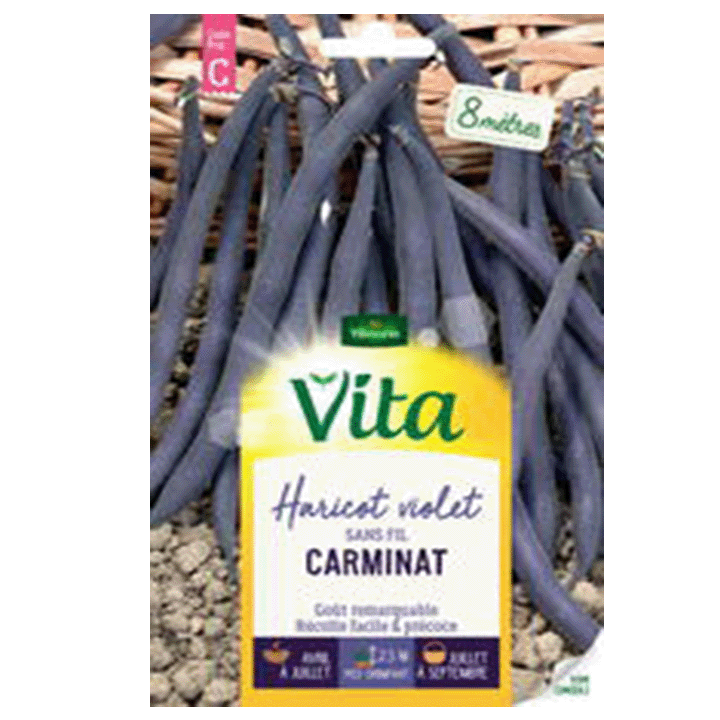 HARICOT CARMINAT - SEMIS POUR 8M