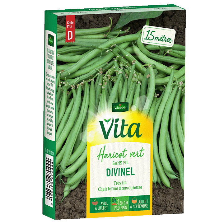 HARICOT DIVINEL - SEMIS POUR 15M