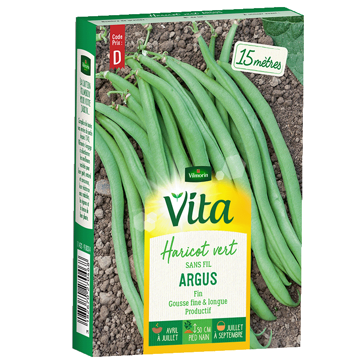 HARICOT ARGUS  - SEMIS POUR 15M