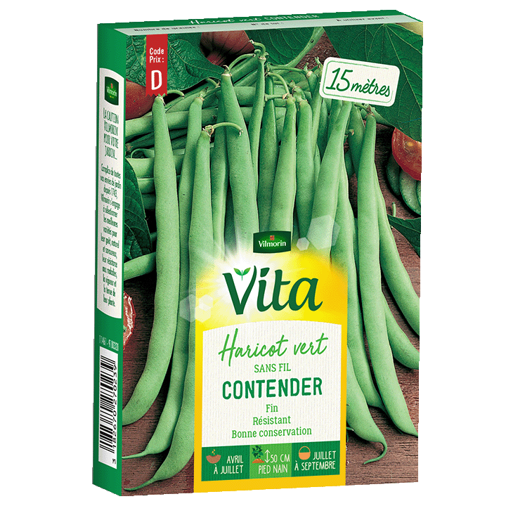 HARICOT CONTENDER - SEMIS POUR 15M