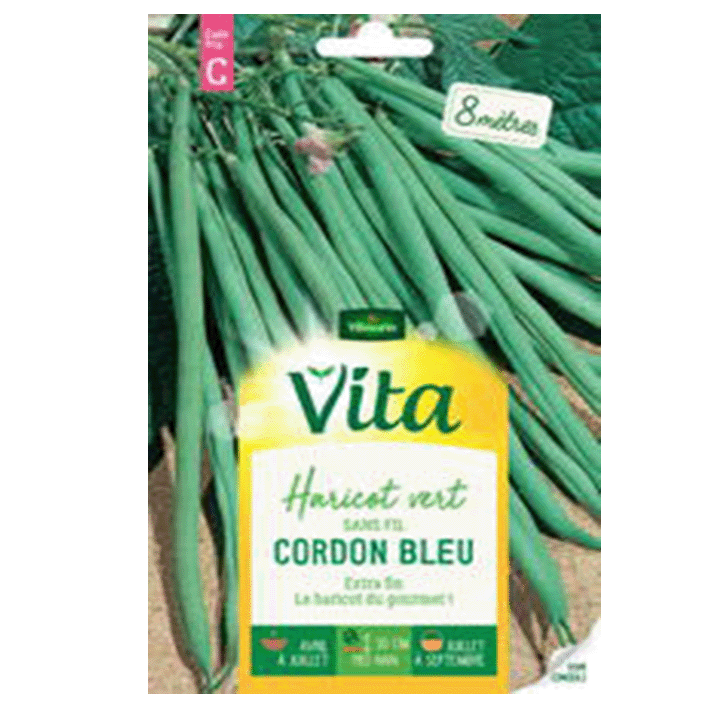 HARICOT CORDON BLEU - SEMIS POUR 8M