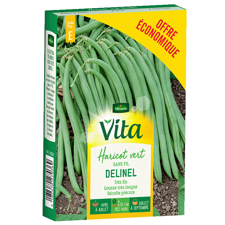 HARICOT DELINEL ECO