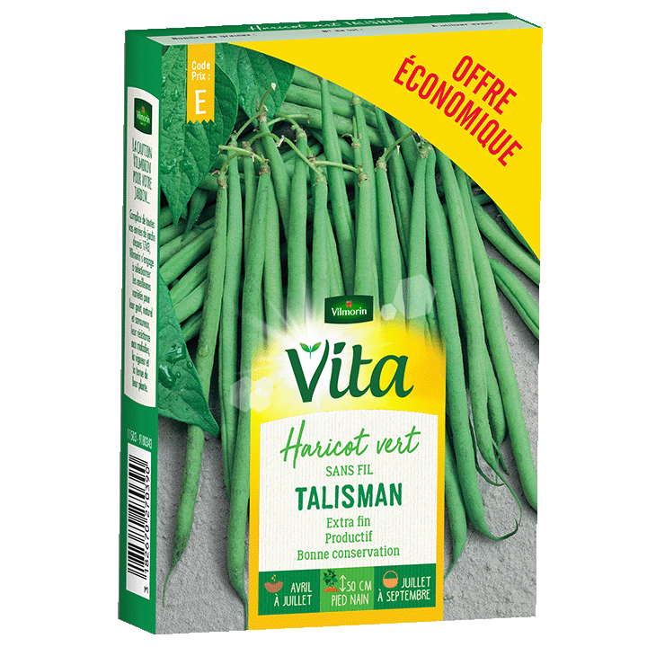 HARICOT TALISMAN ECO